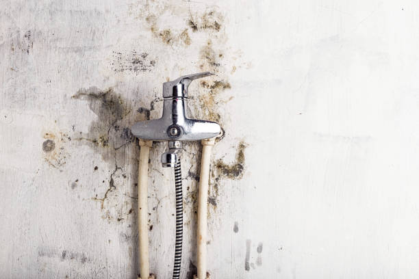 Best Water Damage Restoration  in Town And Country, MO