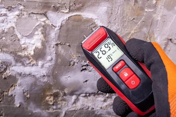 Best Home Mold Removal  in Town And Country, MO